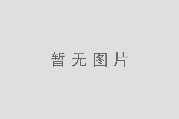 對中國高鐵的發(fā)展給予高度評價